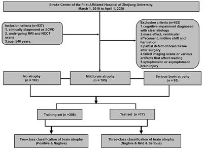 Fully Automatic Classification of Brain Atrophy on NCCT Images in Cerebral Small Vessel Disease: A Pilot Study Using Deep Learning Models